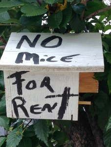 Post 15 Photo Birdhouse 2