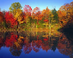 Post 29 Indian Summer