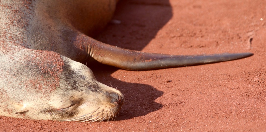 Post 65 Photographers focus