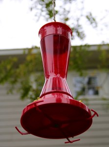 Post 79 Hummingbird Feeder 2
