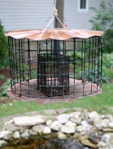 Post 79 Suet Feeder 1