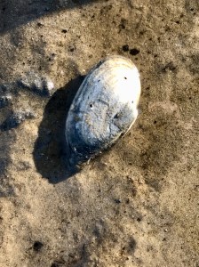 E521F7EF-A03F-4F71-B271-3D9D40D229D5